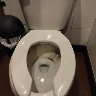 Moldy Women's Bathrom