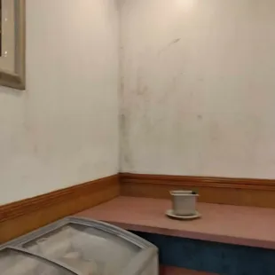 Moldy Wall (near food)