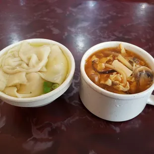 Wonton and hot and sour soup