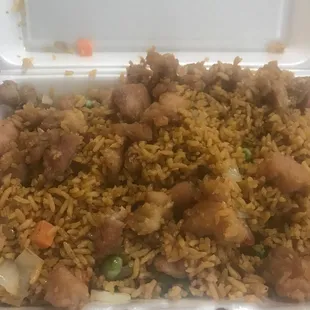 a container of rice and meat