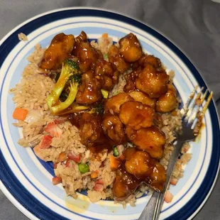 S1. General Tso's Chicken 48. Roast Pork Fried Rice
