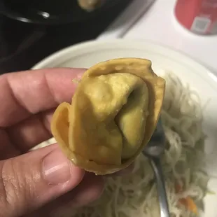 Fried wonton