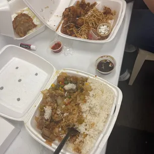 Orange Chicken Plate Garlic chicken plate