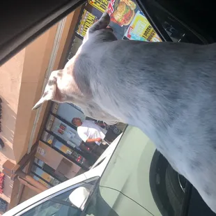 It's the spot around neighborhood, just parking is a biiiiiaaaaaaacccchhhhhhhiiiiiiiii