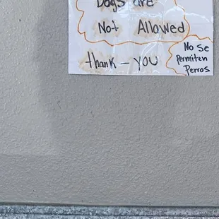 NO DOGS ALLOWED!!!!