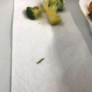 Food need to be checked before cooked !!! This was on Broccoli beef !!!!