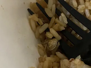 Wok Express