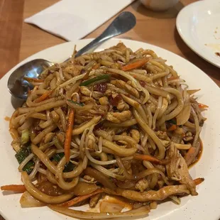 Chicken udon noodles