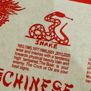 01.06.25 Year of the Snake 2025