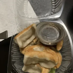 Pork Dumplings