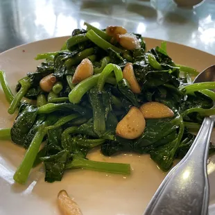 oysters and mussels, food