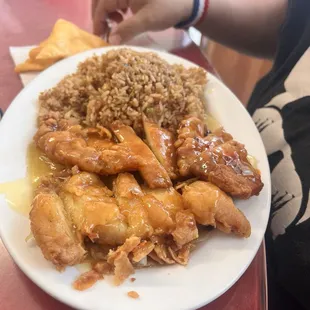 Garlic Chicken lunch