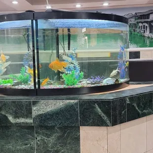 a fish tank in the middle of the restaurant