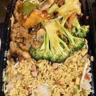 Hunan beef combo