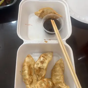 YUM! Fried potstickers. CONTAINS PORK.