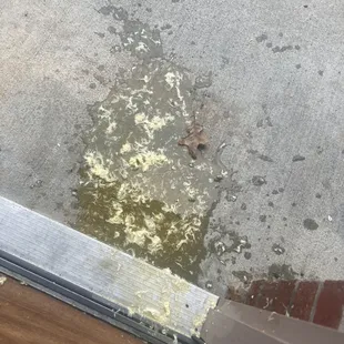 Busted because the restaurant didn't secure the lid. They should have put in in a paper bag then a plastic bag.