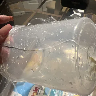 a person pouring water into a plastic cup