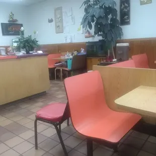 Hopefully not where they choose their fish :)