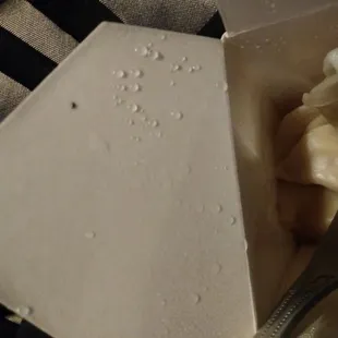 A gnat/fly/flea inside dumpling container