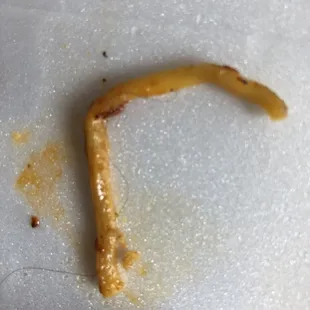 a worm on a piece of paper