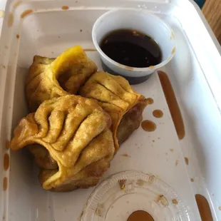 Pork Fried Homemade Dumpling