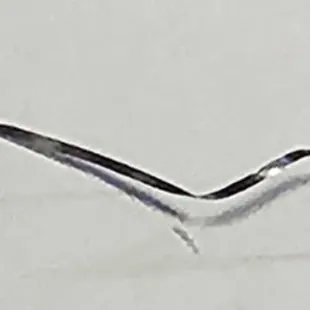 One and a 1/12 inch Standish still scrubbing pad peace. That was in my Throat. From the chicken with broccoli