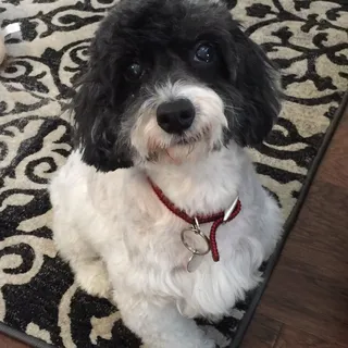 Trudy B.