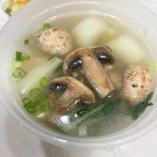 Wonton Soup