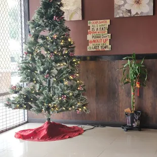 After Christmas Chinese Food! Yum!