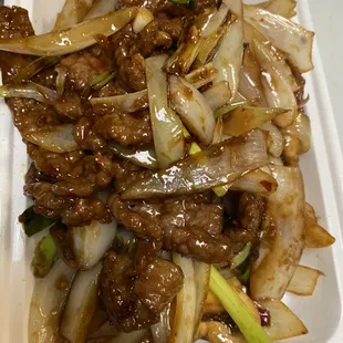 beef and onions in sauce