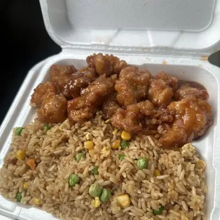 Orange Chicken &amp; Fried Rice