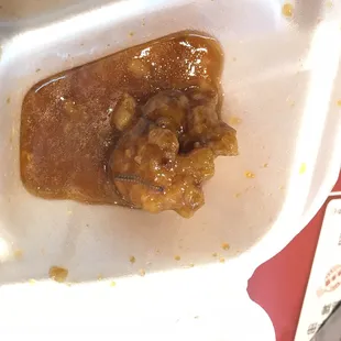 Picture of worm in food