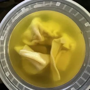 The Wonton Soup