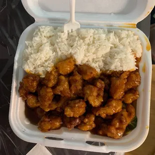 chicken and rice in a styrofoam container