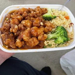 a person holding a container of food