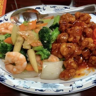 Dragon &amp; Phoenix