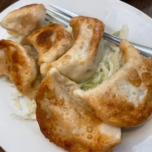 The Best Pot Stickers Ever
