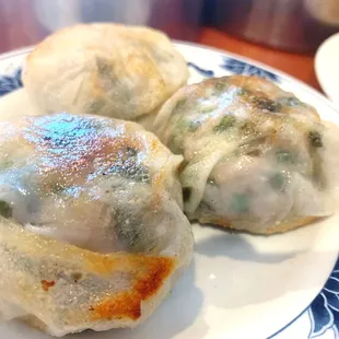 Fried Chive Dumpling