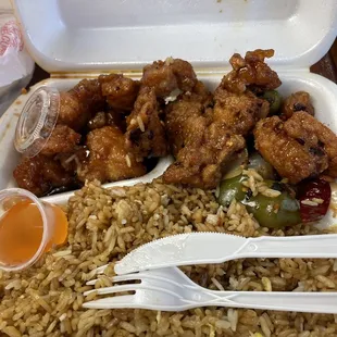 Orange and general tso chicken with fried rice
