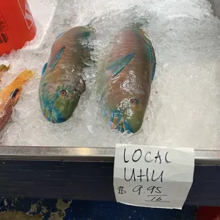 Fresh fish