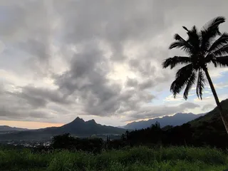 Pali Highway Scenic Lookout