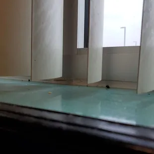 Flies and bugs on windows