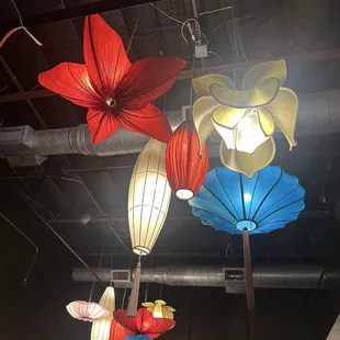 Pretty lights