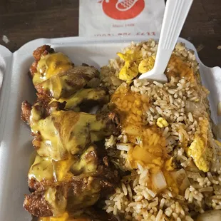 chicken and rice in a styrofoam container