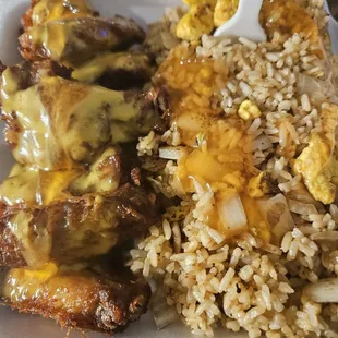a plate of food with rice and meat