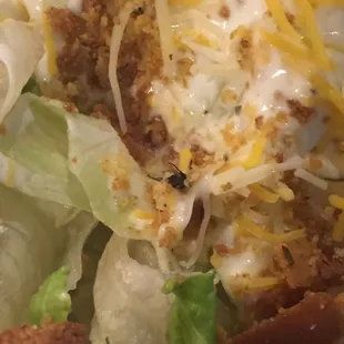 a closeup of a salad