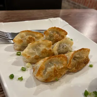 Pan fried dumplings