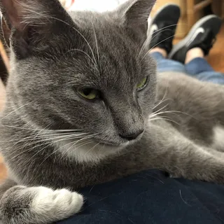 J. K.