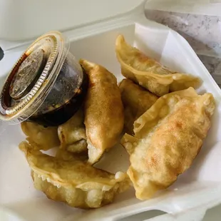 Fried Dumplings