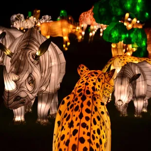 Experience THE WILD! 1000 lanterns featuring lanterns (handcrafted by Chinese Artisans) of animals from all over the globe!